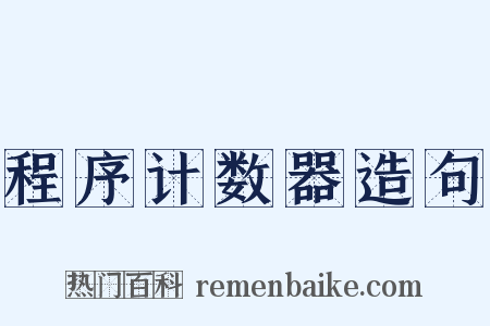 程序计数器造句是什么意思的图片